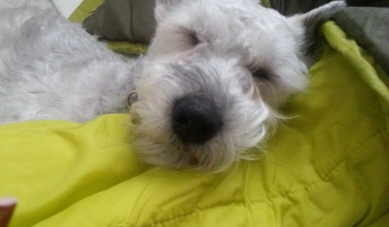Jake’s Story, Part 2: Mom, Rubber Gloves, and a Boiled Chicken