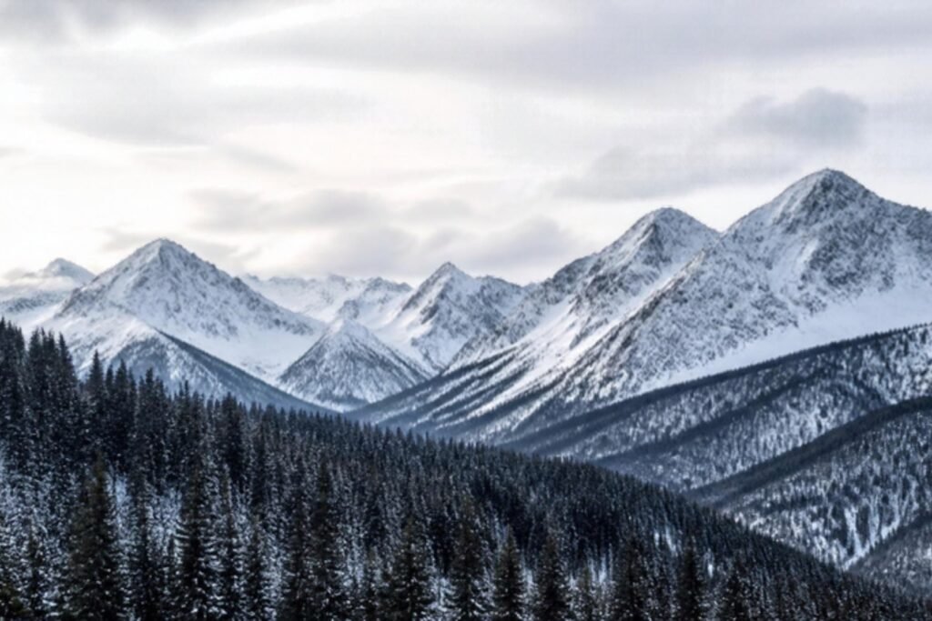 Snow-covered mountain ridges and dark pine forest under a pale winter sky