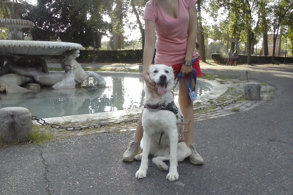 A white dog on a leash sitting beside a person near a fountain