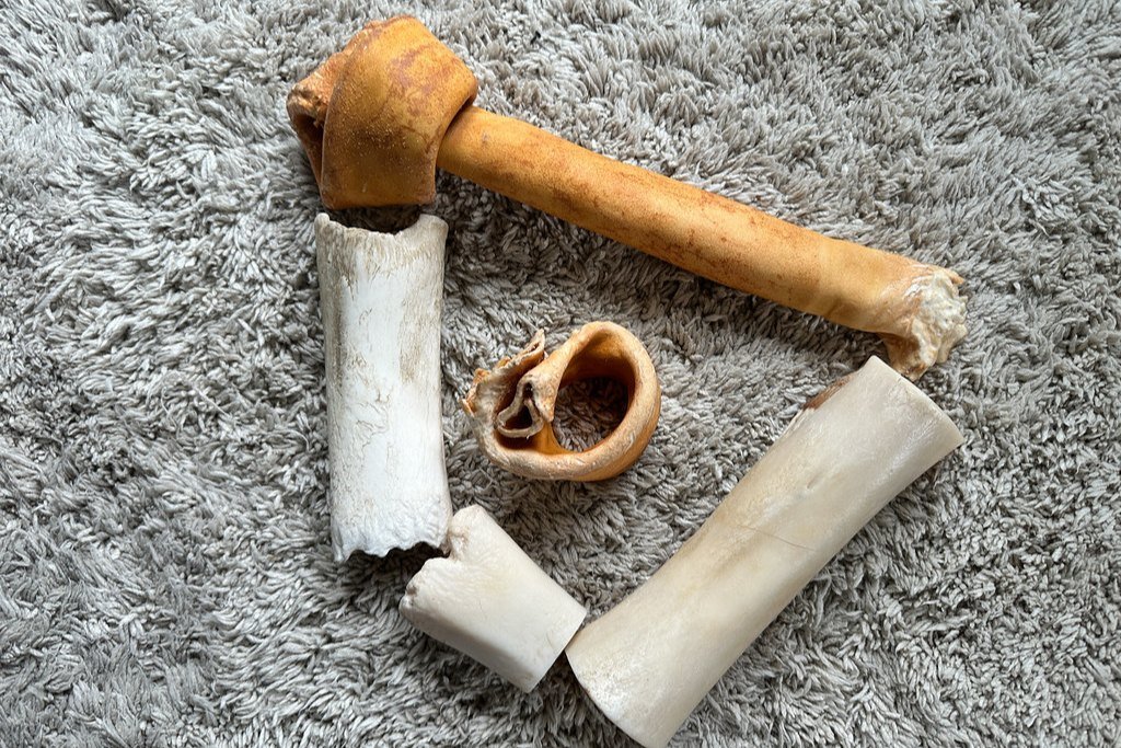 Chewed dog bones lying on a carpet