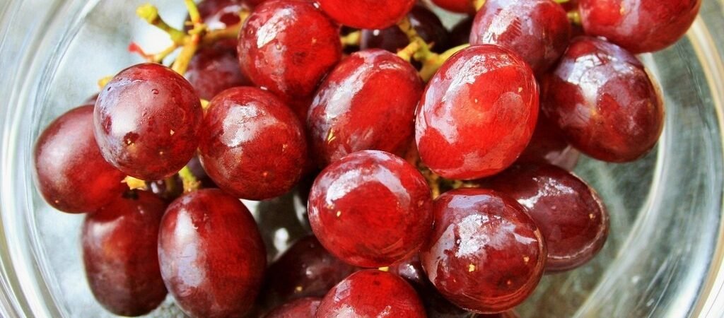 Can Dogs Eat Grapes? Why Grapes and Raisins Are Dangerous (and What to Do)