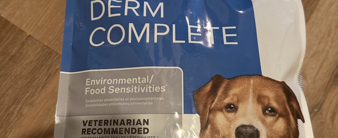 Hill’s Prescription Diet Derm Complete Review: Simba’s First Month